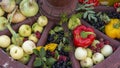 Fruit And Vegetable Varieties Between Spokes Of An Old Wooden Cartwheel.ÃÂ Fresh Fruits And Vegetables.ÃÂ Organic Food Background